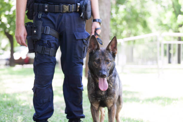 K9 handler with protection dog